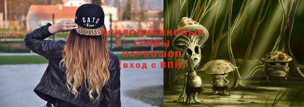 молекула духа Ельня