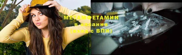 гидра Елизово