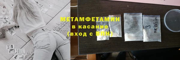 гидра Елизово