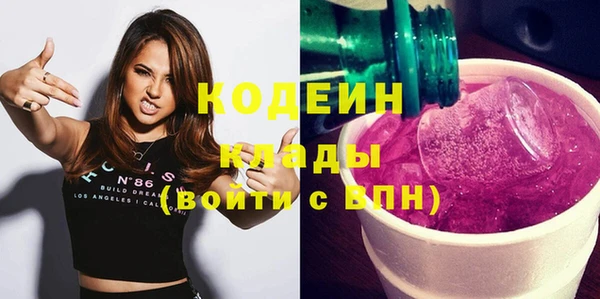 молекула духа Ельня