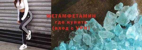 гидра Елизово
