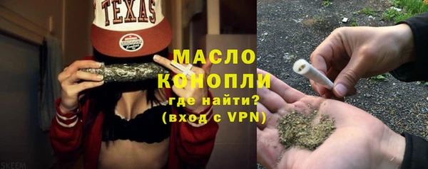 молекула духа Ельня