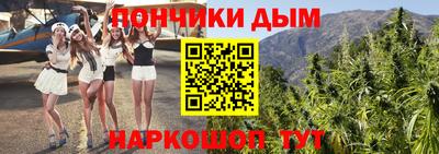 шишки Бийск