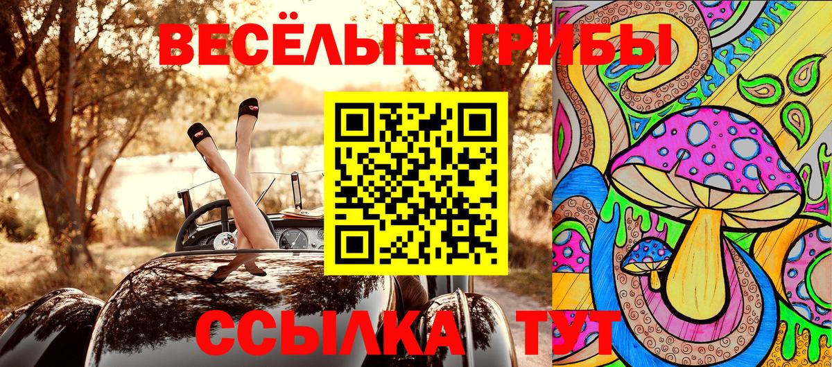 Псилоцибиновые грибы Psilocybine cubensis  Вход с VPN  Ефремов  Псилоцибиновые грибы Magic Shrooms 