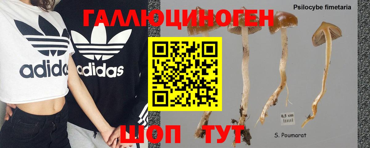 Псилоцибиновые грибы мухоморы Ефремов